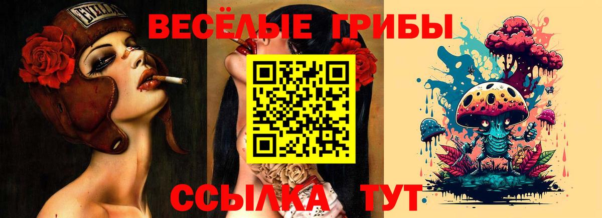 Псилоцибиновые грибы ЛСД  Вход с VPN  Галлюциногенные грибы мухоморы  Черногорск 